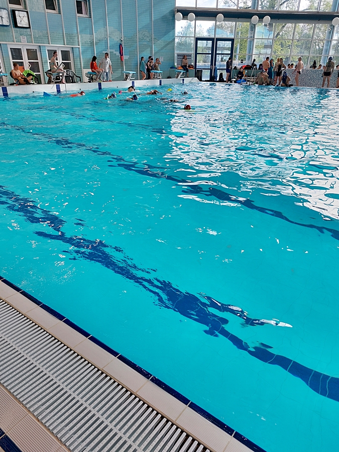 Hokej pod wodą Walenie Czeskie Budziejowice Bud Pig Cup 2025